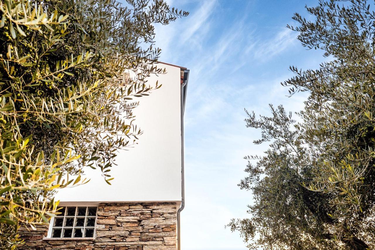 Valença do Douro Pinhão Casa com piscina privada Exterior foto