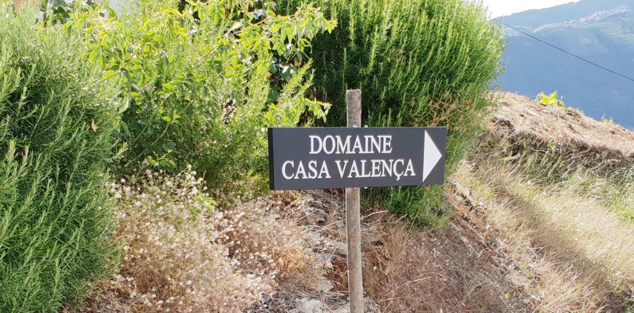 Valença do Douro Pinhão Casa com piscina privada Exterior foto
